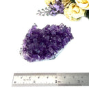 Amethyst Cluster AAA Extra Quality (Intuition and Spiritual Evolution)