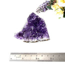 Amethyst Cluster AAA Extra Quality (Intuition and Spiritual Evolution)