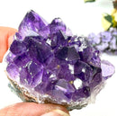 Amethyst Cluster AAA Extra Quality (Intuition and Spiritual Evolution)