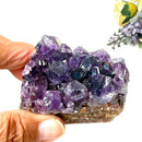 Amethyst Cluster AAA Extra Quality (Intuition and Spiritual Evolution)