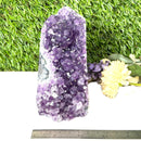 Standing Amethyst Clusters from Uruguay AAA Quality (High Vibrations)