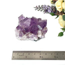 Natural Amethyst Clusters in AAA Quality (Option Wise)