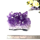 Natural Amethyst Clusters in AAA Quality (Option Wise)