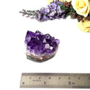 Amethyst Cluster AAA Extra Quality (Intuition and Spiritual Evolution)