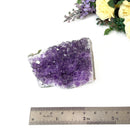 Amethyst Cluster (Spirituality and Wisdom)