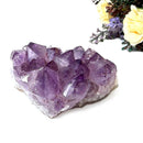 Natural Amethyst Clusters in AAA Quality (Option Wise)