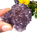 Amethyst Flower Shaped Cluster (Intuition and Meditation)
