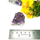 Amethyst Flower Shaped Cluster (Intuition and Meditation)