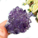 Amethyst Flower Shaped Cluster (Intuition and Meditation)