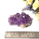 Amethyst Flower Shaped Cluster (Intuition and Meditation)