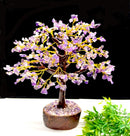Amethyst Tree  (Meditation & Calmness)