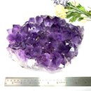 Amethyst Clusters with large points in AAA Extra Quality from Brazil