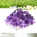 Amethyst Clusters with large points in AAA Extra Quality from Brazil