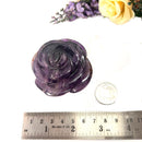 Rose in Amethyst
