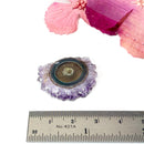 Amethyst Stalactite Slice (Meditation and Intuition)