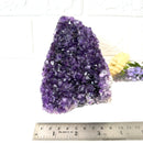 Standing Amethyst Clusters from Uruguay AAA Extra (Very dark Purple)