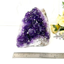 Standing Amethyst Clusters from Uruguay AAA Extra (Very dark Purple)