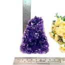 Standing Amethyst Clusters from Uruguay AAA Extra (Very dark Purple)