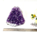 Standing Amethyst Clusters from Uruguay AAA Quality (High Vibrations)