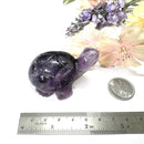Turtle in Amethyst (Stress Relief)