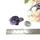 Turtle in Amethyst (Stress Relief)
