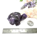 Turtle in Amethyst (Stress Relief)