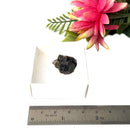 Andradite Garnet Mineral (Humboldt County, Nevada)