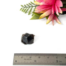 Andradite Garnet Mineral (Humboldt County, Nevada)