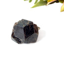 Andradite Garnet Mineral (Humboldt County, Nevada)