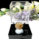 Angelsite Mineral Specimen