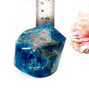 Blue Apatite Free Forms with Points (Develop Psychic gifts)