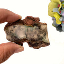 Blue-Green Chalcedony Slice ( Emotional Calm )