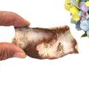 Blue-Green Chalcedony Slice ( Emotional Calm )