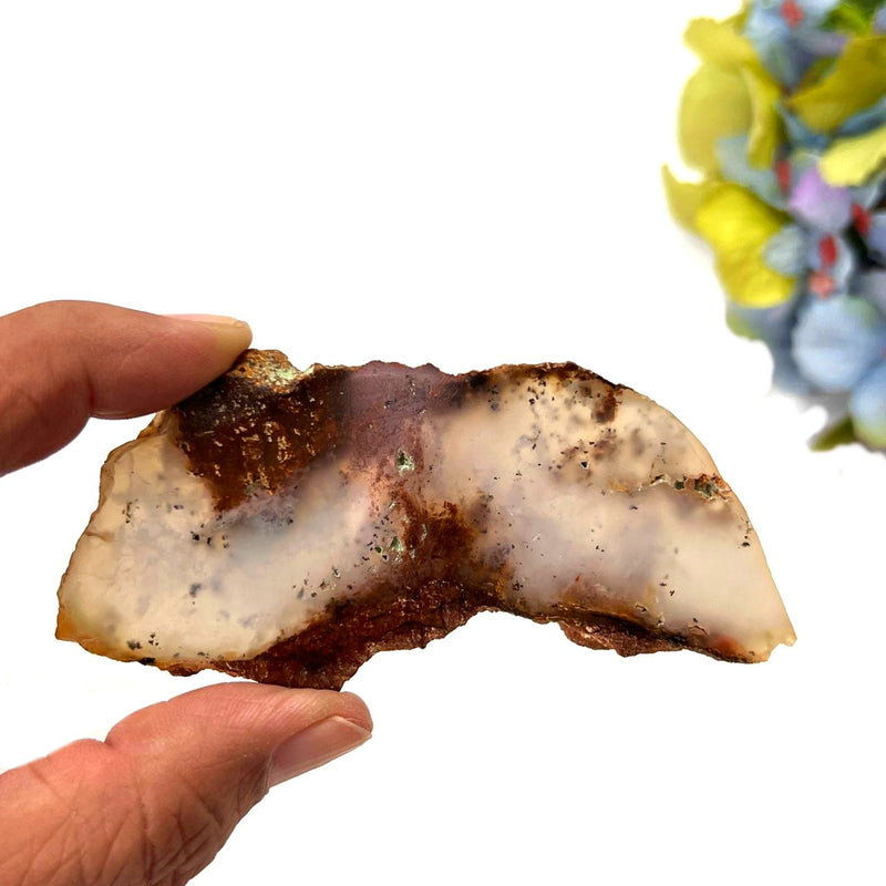 Blue-Green Chalcedony Slice ( Emotional Calm )