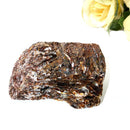 Astrophyllite Rough