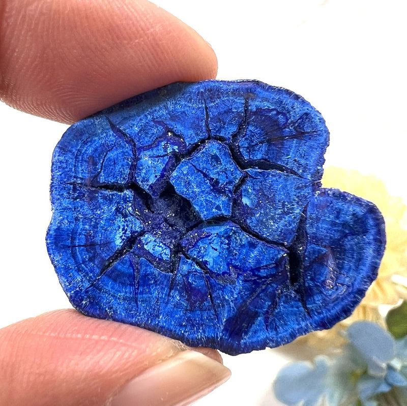 Azurite Baby Geodes (Enhance psychic gifts)