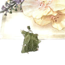 Moldavite Silver Pendant from Besednice (Czech Republic)