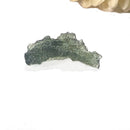 Besednice Moldavite Hedgehogs ( Extremely Rare )