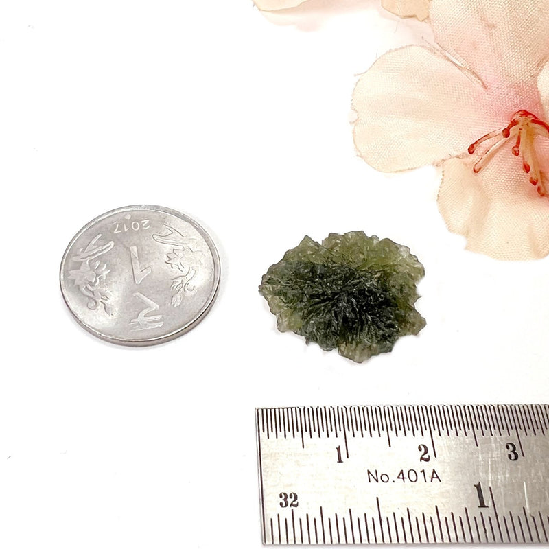 Besednice Moldavite Hedgehogs ( Extremely Rare )