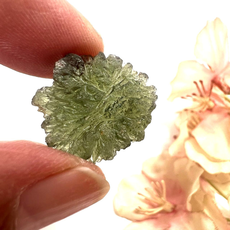 Besednice Moldavite Hedgehogs ( Extremely Rare )
