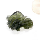 Besednice Moldavite Hedgehogs ( Extremely Rare )