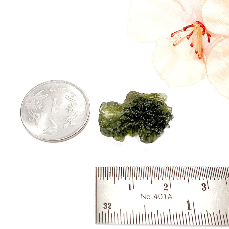 Besednice Moldavite Hedgehogs ( Extremely Rare )