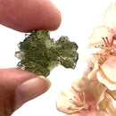Besednice Moldavite Hedgehogs ( Extremely Rare )