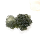 Besednice Moldavite Hedgehogs ( Extremely Rare )