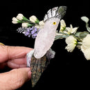 Small Crystal Birds / Parrots on Amethyst Druzy from Brazil