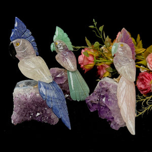 Medium Sized Crystal Parrots on Amethyst Clusters from Brazil