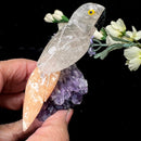 Small Crystal Birds / Parrots on Amethyst Druzy from Brazil