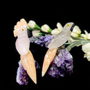 Small Crystal Birds / Parrots on Amethyst Druzy from Brazil