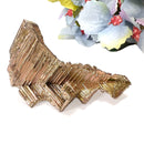 Bismuth Specimen (Transformation)