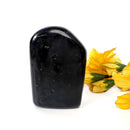Black Onyx Free Forms